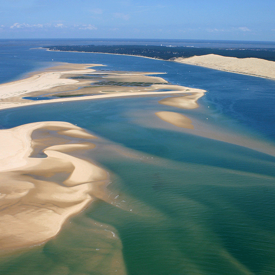 dune pilat banc darguin bassin d'arcachon